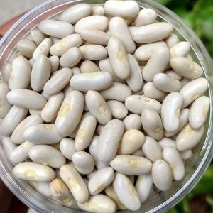 Rajma White / Chitra