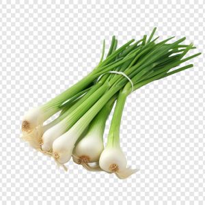 Spring Onion