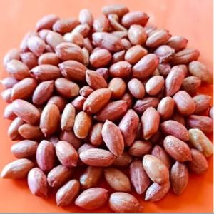 Molakalmuru Groundnut Seeds