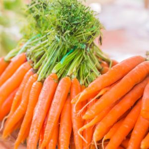 Carrot Local variety