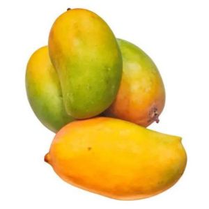 Kesar Mango