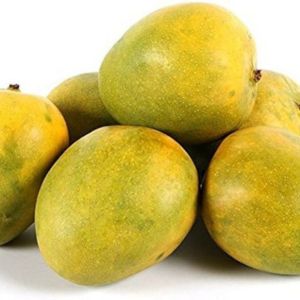 Malagoba Mango