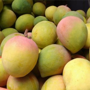 Mango Rasapuri