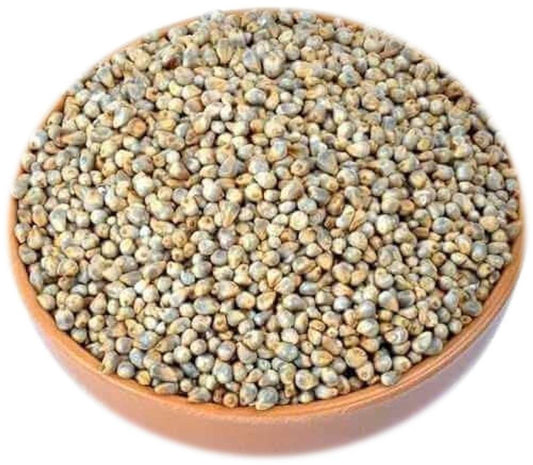 Premium Bajra Seeds