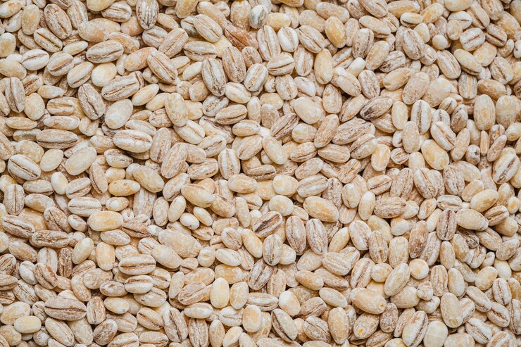 Barley Seeds