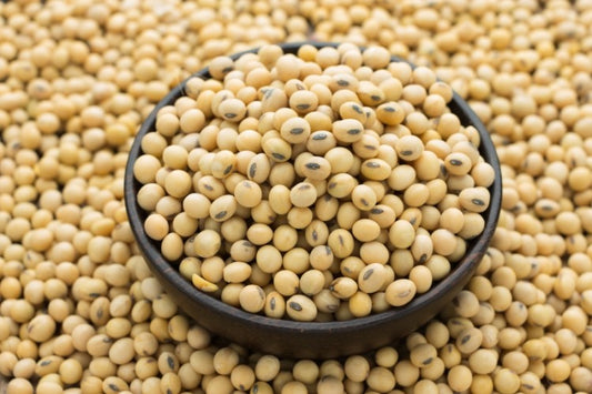 Soya Beans